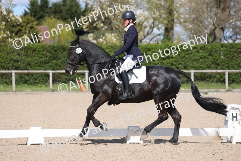 20260405-0528 - Class 6 - Elementary 6