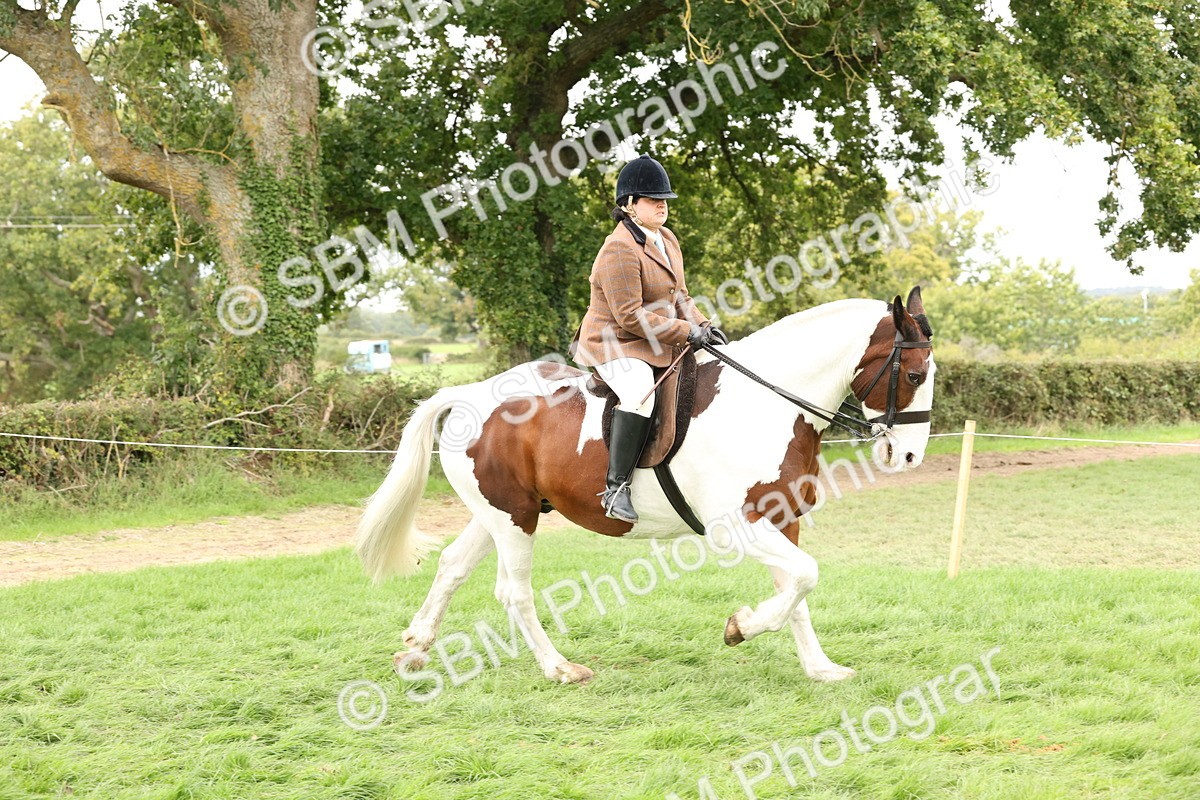 SBM_67237 - S67 - Piebald & Skewbald Horse Ridden