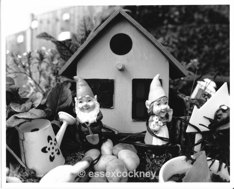  - Odds and Sods(others)