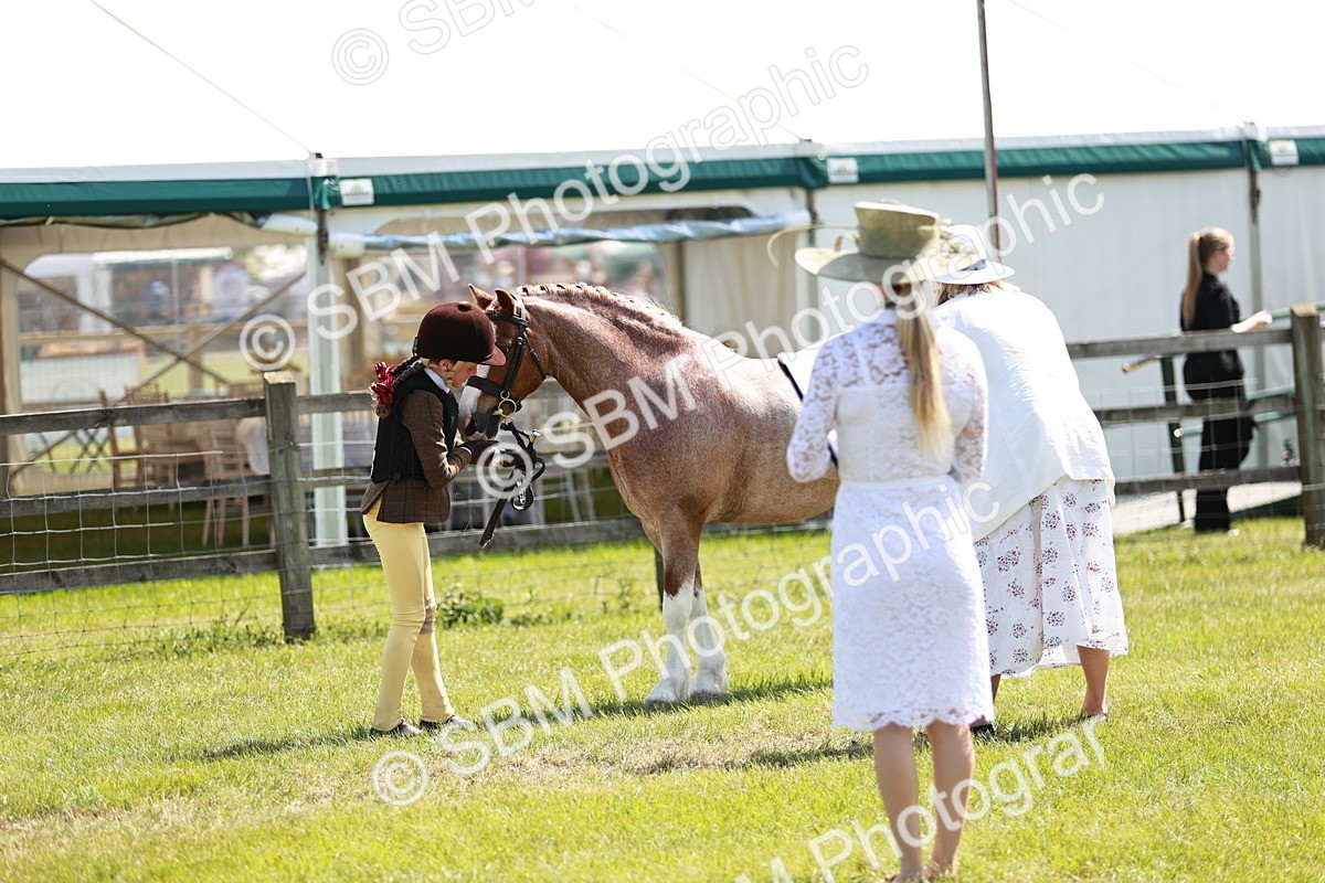 SBM_13524 - Class 108-109 - BSPS LIHS Open Gradle & Nursery Stakes