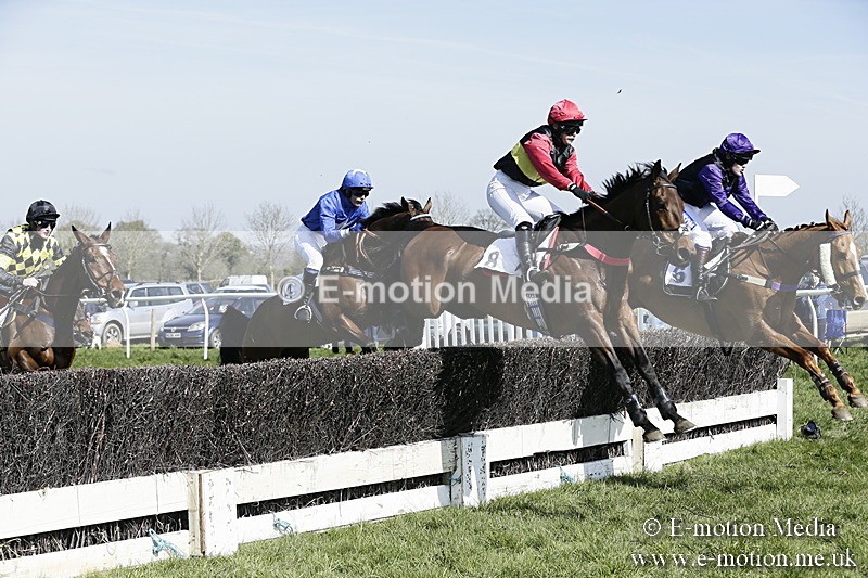 PtP 260317 68 - Mendip Farmers Point-to-Point Ston Easton 26/03/17