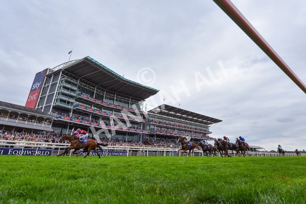 230825-Race 2-Tarriance-9643 - Race 2 2.25pm Sky Bet Melrose Handicap