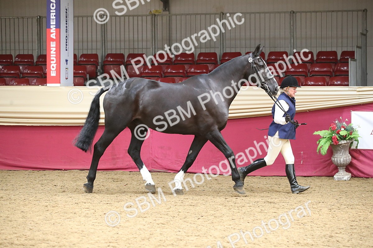 SBM_05278 - Class 8R - Regional IH Veteran