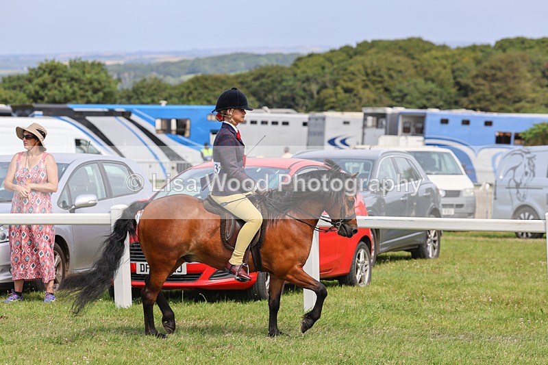 IMG_3734 - M & M Ridden Championship