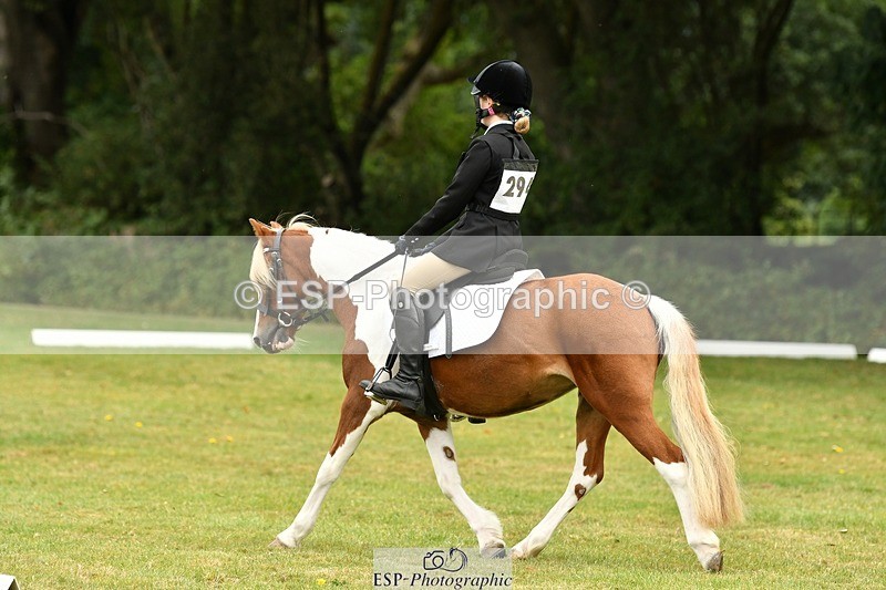 250820A-114733-05296 - 11am to 12