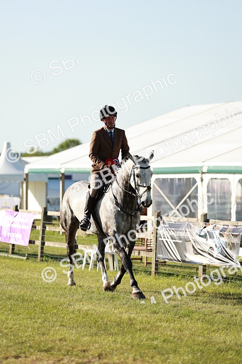 SBM_20135 - Class 115-116 - LIHS BSHA Rising Star Working Hunter & Show Horse