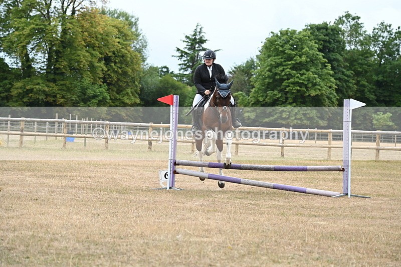 WJ6_0369 - Class 13 Novice Jumping 60cm