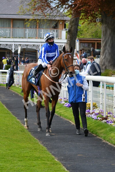 yr13052021r5-34 - Race 5 3.40pm British Stallion Studs EBF Westow Stakes