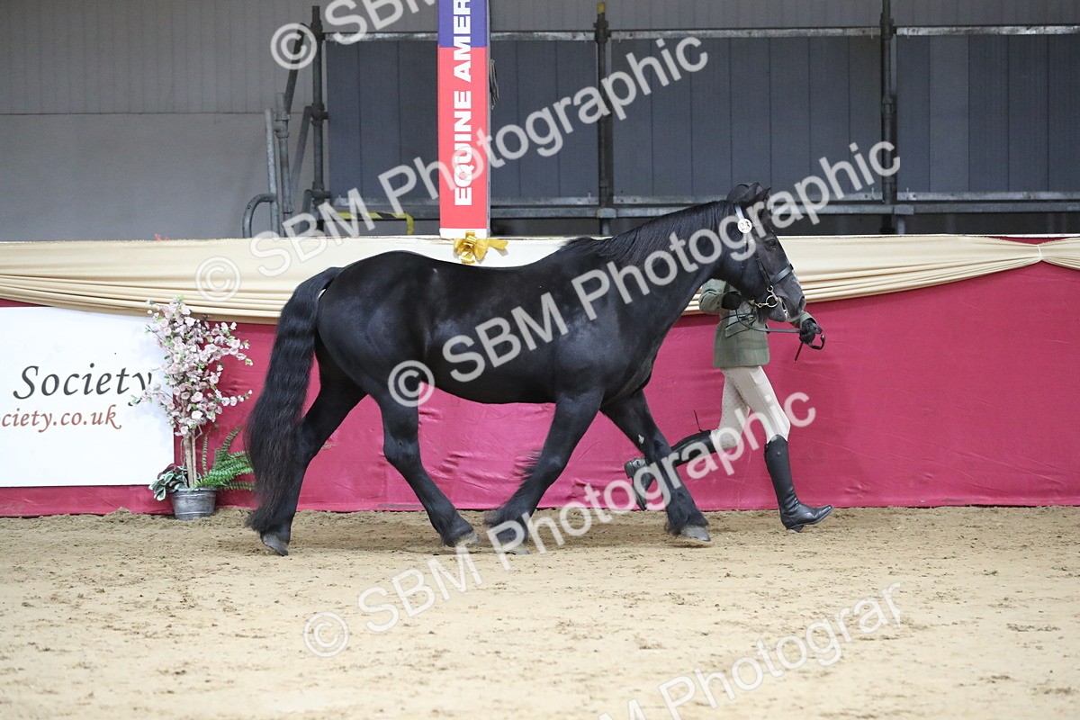 SBM_04969 - Class 8R- Regional -IH Veteran