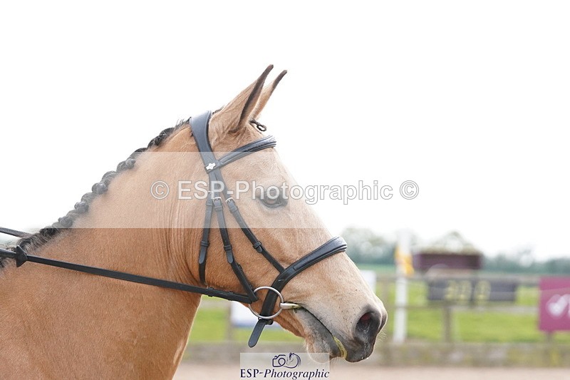 250419-151536-12867 - 622-Anna.Passmore-IVY.GOLD