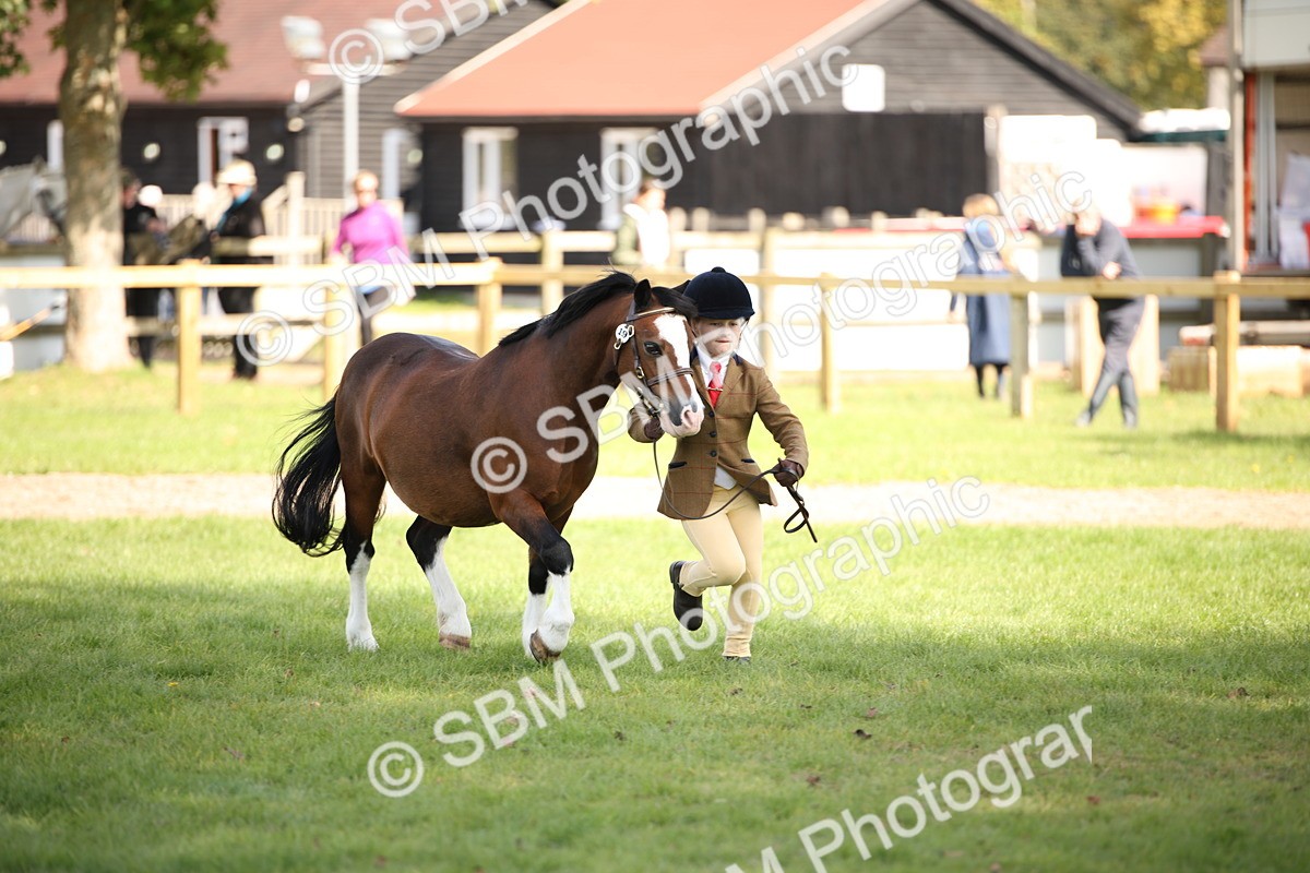 SBM_44436 - S24 - Young Veteran in hand