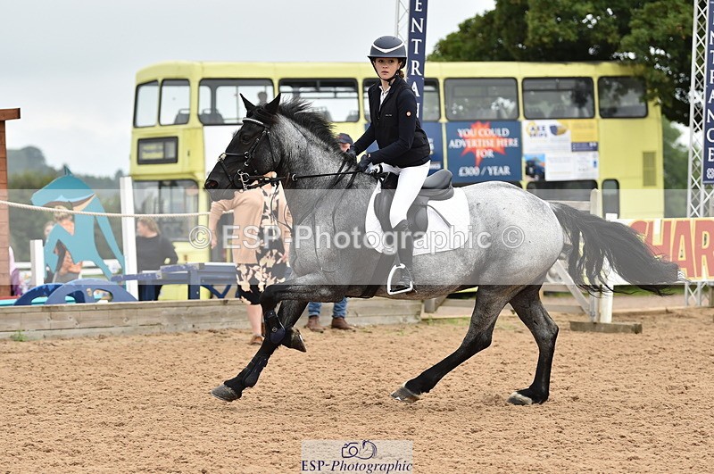 230902A-114354-00819 - Cls 2B Pony Small 80cm