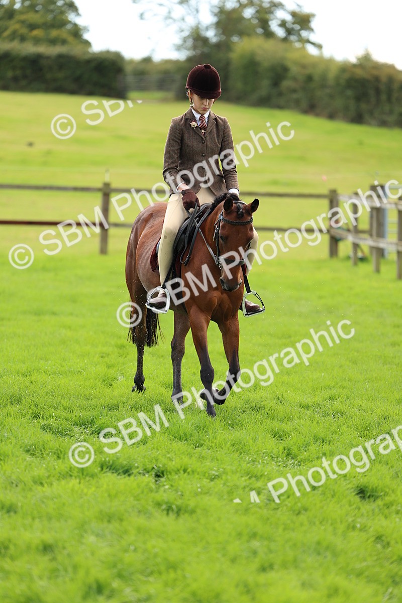 SBM_45390 - S33 - Working Hunter Pony