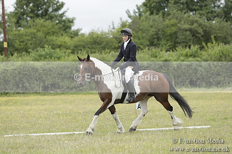 BVR160717-1376 - Class 3 Dressage 16/07/17