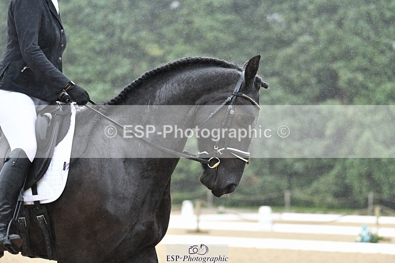 240720-093633-03534 - 274-Paige_Beattie-Orcaber_Dark_Secret
