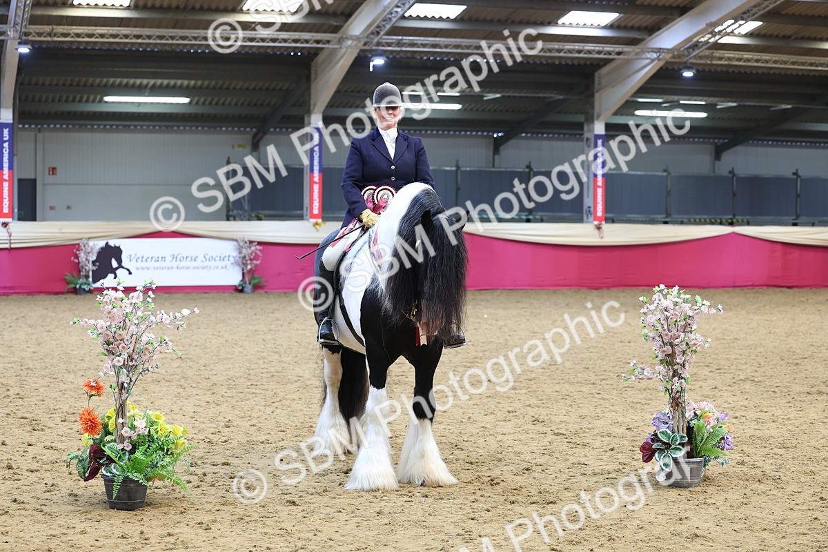 SBM_24208 - Class 905 - Supreme Final - Ridden Veteran