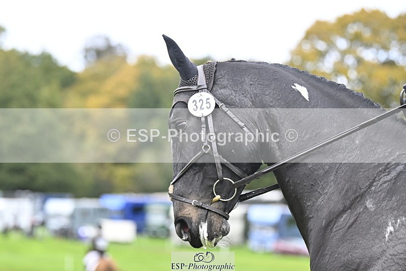 251023A-134624-04158 - D-325-Erin.Johnson