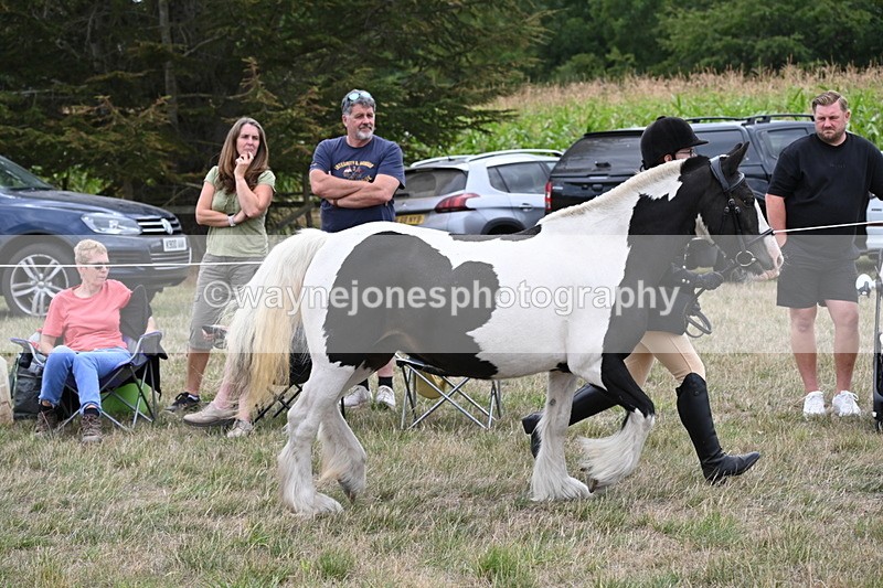 WJ6_5242 - Class 18 In-hand Coloured