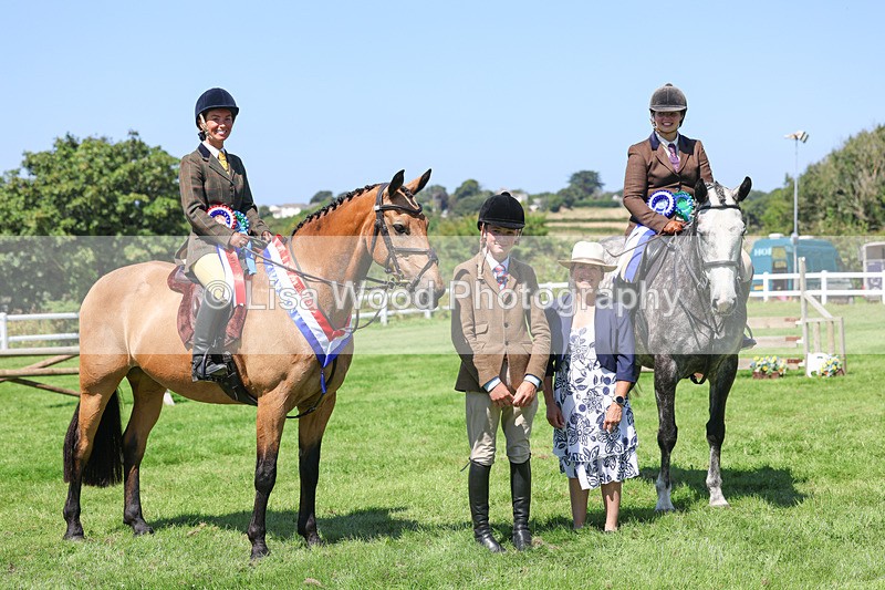 3E7A9332 - Working Hunter Championship