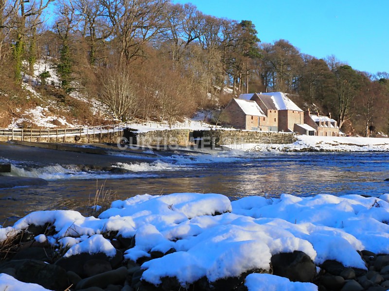 P1171178 - SCOTTISH BORDERS