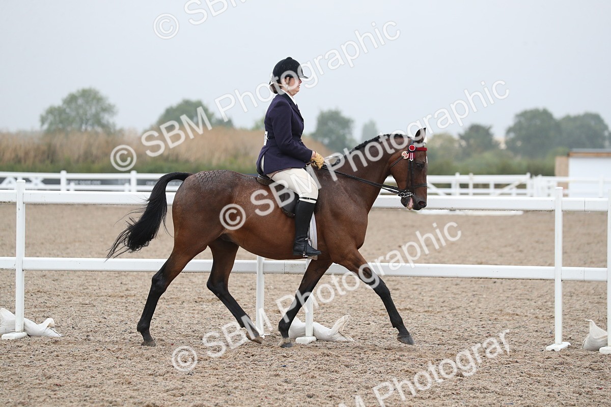 SBM_21567 - Class 602 - 2025 Area - Ridden Veteran
