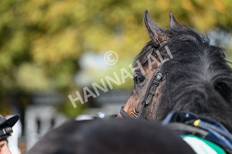 150625-Race 3-Stoneacre Donny-2595