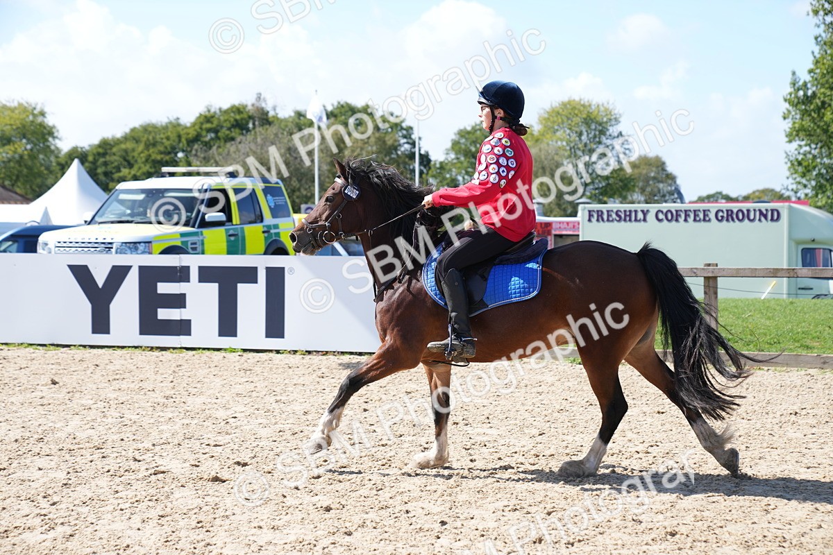 SBM_05029 - J56 - Clear Round 70cm