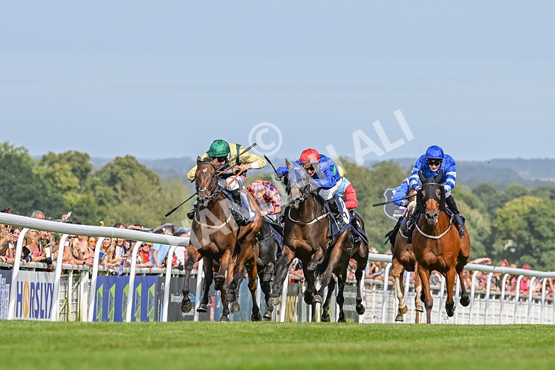 140824-Race 4-Queens Road Revue-3660 - Race 4