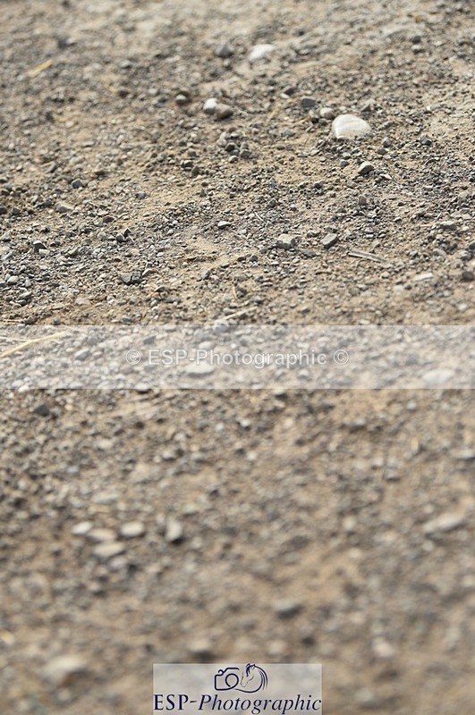 230817-095058-01677 - Kay's 1st Group - Arena