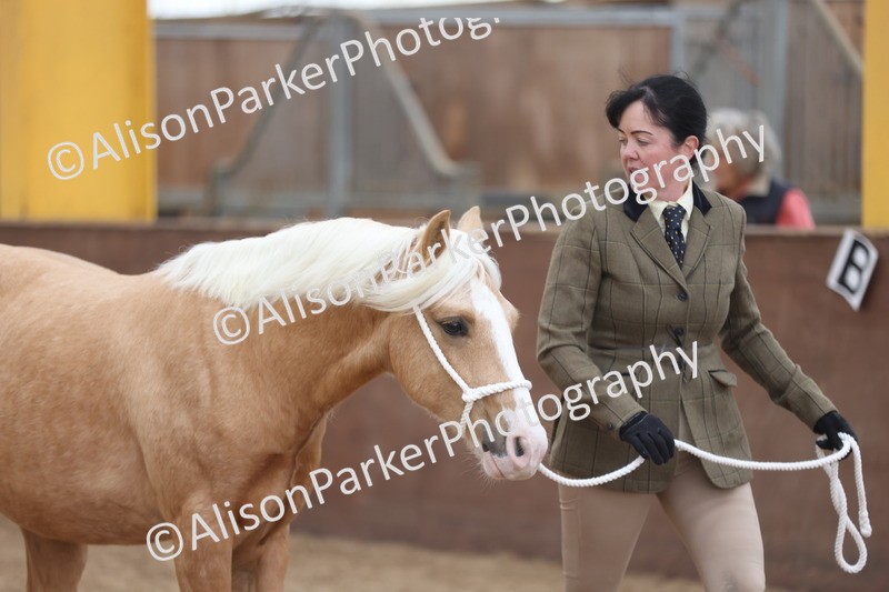 20251109-0847 - Class 25 - Yearling, Colt, Filly or Gelding