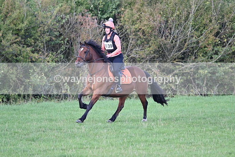 WJ7_1206 - Time 13:56 to 14:24