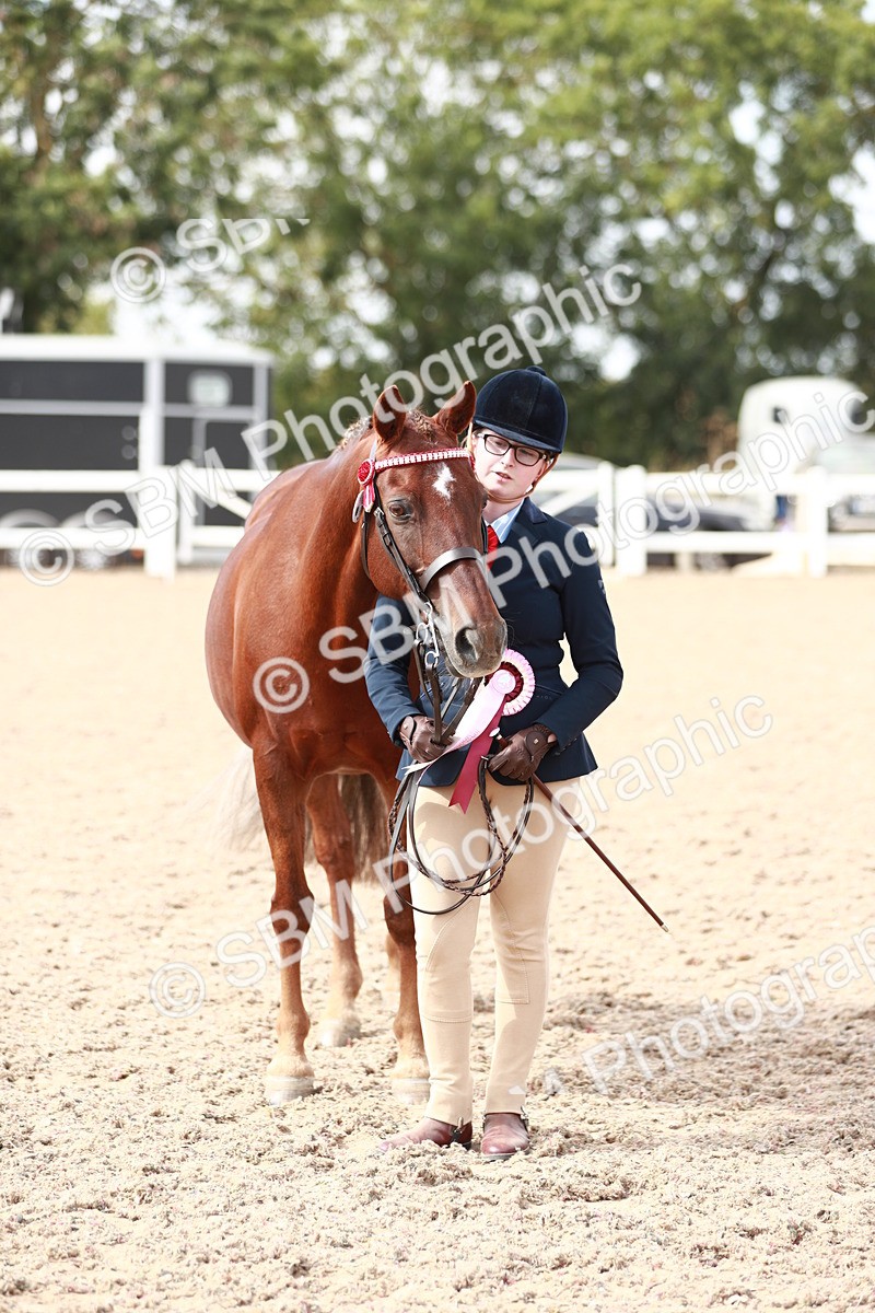 SBM_13954 - Class 209 IH Veteran Pony