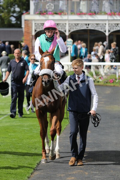 yr17082022r2-53 - Race 2 2.25pm Tattersalls Acomb Stakes