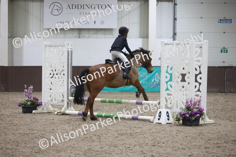 20260125-1591 - Class 2 - 50cm