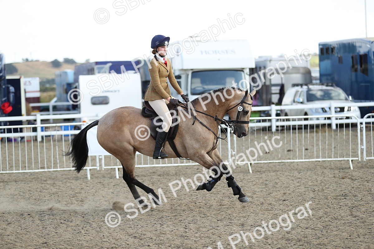 SBM_06996 - Class 49b Style & Performance 80cm (20+)