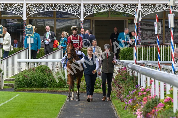 270724-Race 2-Rage Of Bamby-6849 - Race 2 2.40pm Sky Bet Dash Handicap