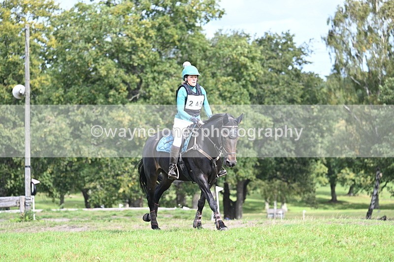 WJ7_0041 - Time 11:02 to 11:34