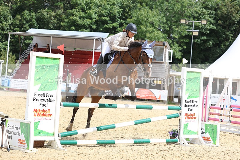 3E7A4612 - Class 4: Senior British Novice/90cm open