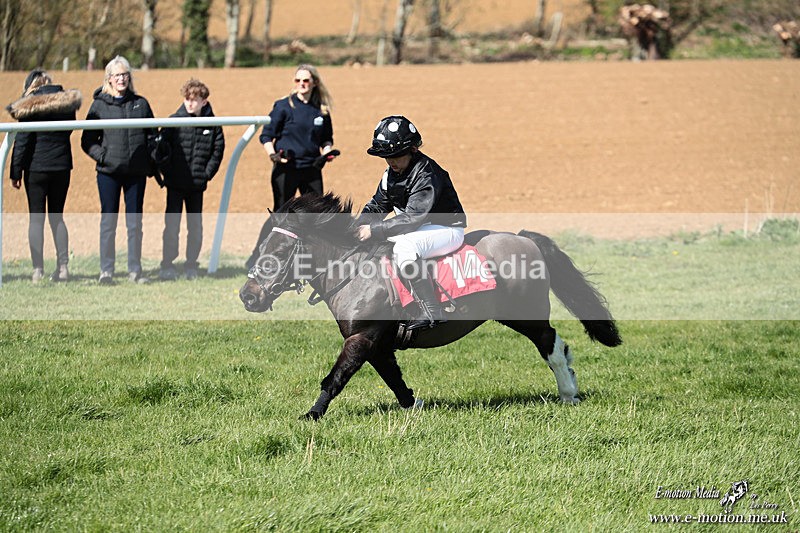 Shet 060426 326 - Shetland Pony Racing Paxford Races Easter Mon 06/04/26