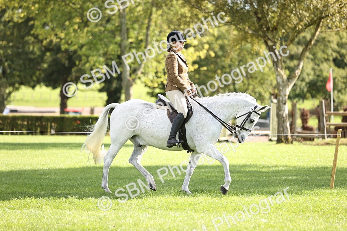 SBM_26362 - S6 - Novice & Newcomers Ridden Horse