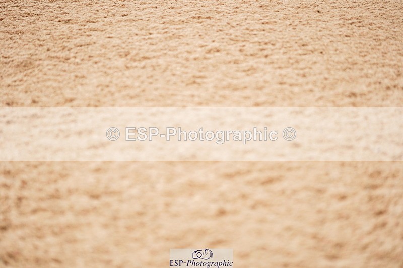 240524A-113330-03143 - Cls 14 Newcomers