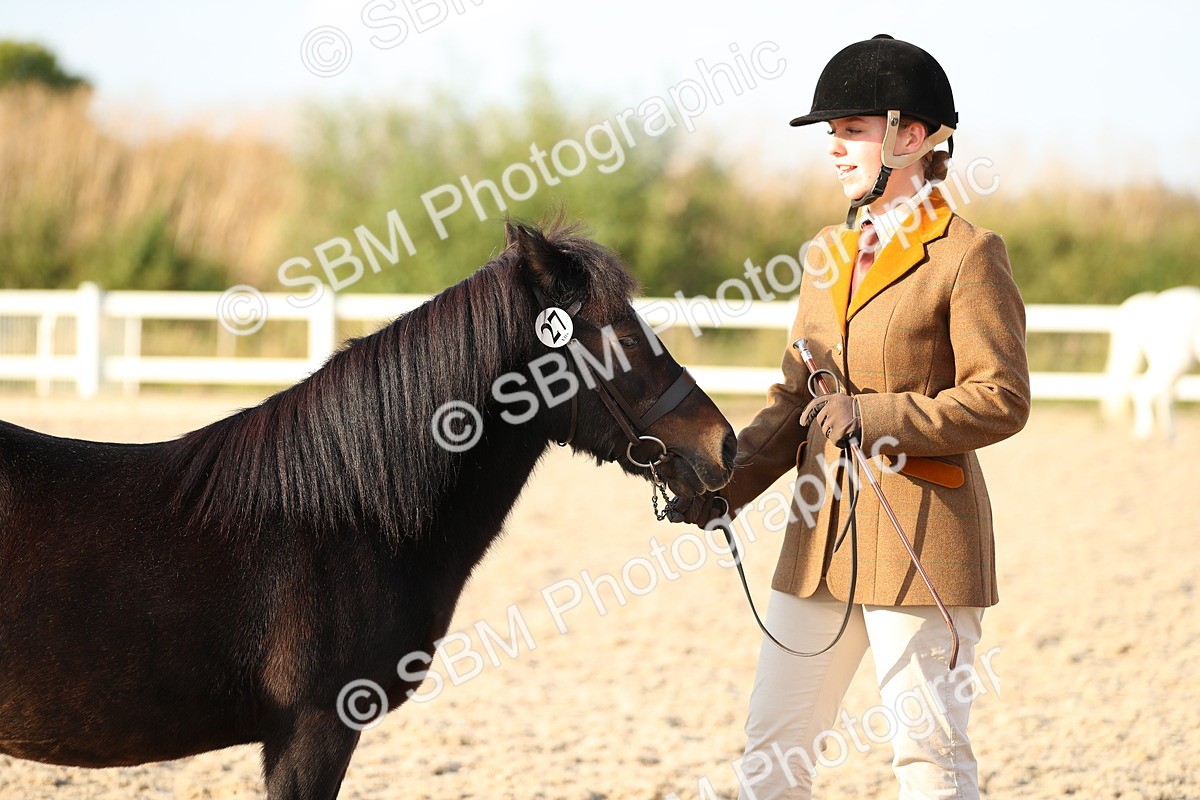 SBM_09033 - Class 29 IH Veteran Pony