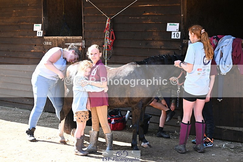 240729B-091736-01765 - Monday Stable Shots