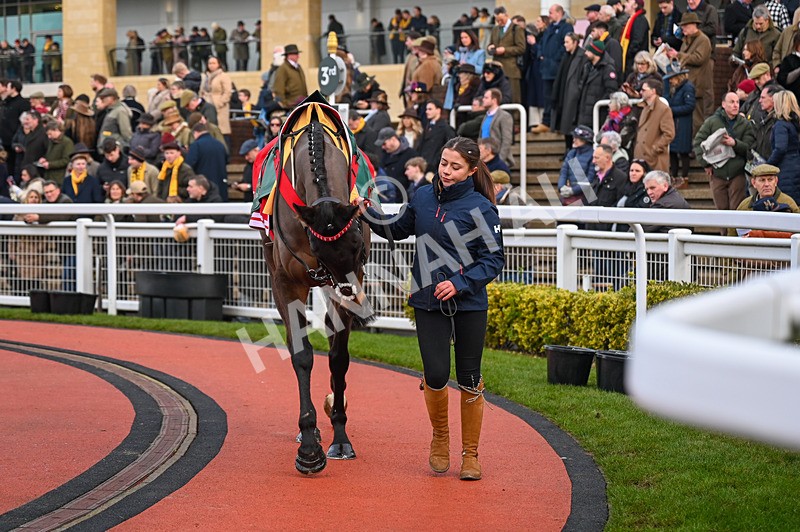 250125-Race 6-Gowel Road-3618 - Race 6