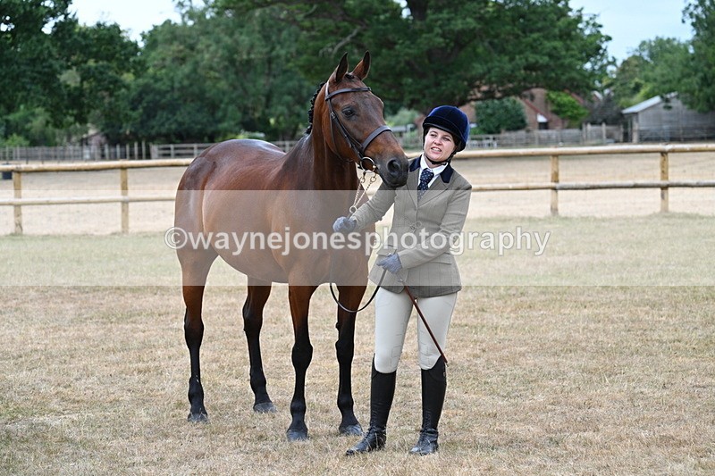 WJ7_9159 - Class 4a Prettiest Mare 14.2hh and over