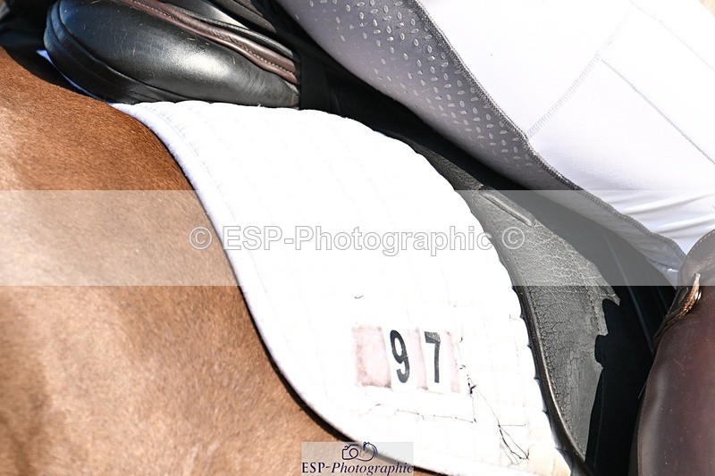 250816-090449-02553 - 097-Susie.CullenSir.Safir.Caledonia