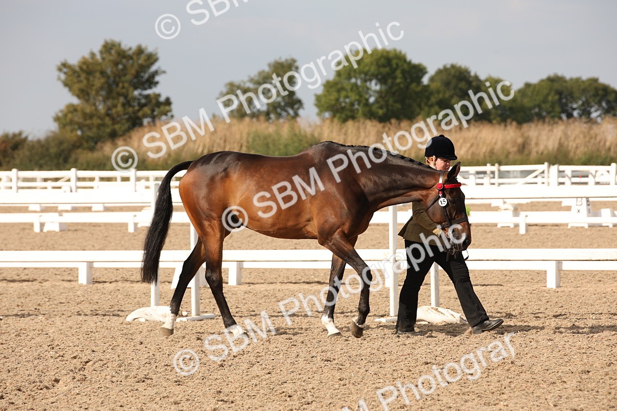 SBM_08122 - Class 27 - IH Competition Horse-Pony