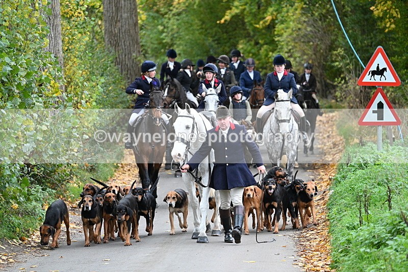 WJ7_7141 - Walk Home..