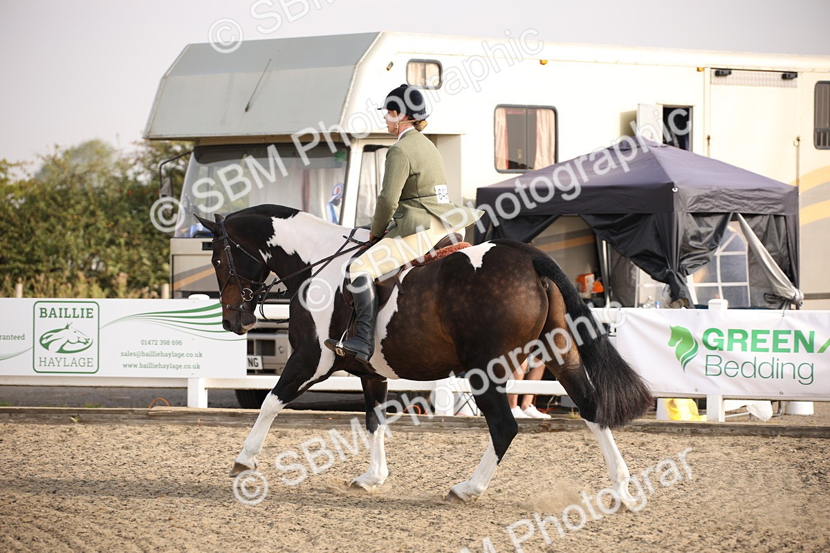 SBM_10240 - Class 402 Riding Club Horse