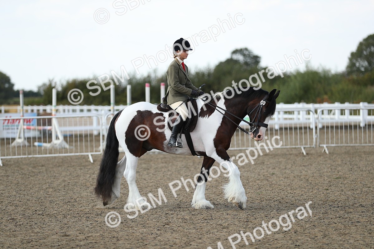 SBM_06963 - Class 49b Style & Performance 80cm (20+)